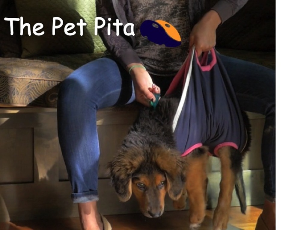 The Pet Pita's video poster