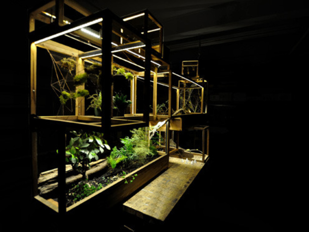 Plant-In City: Architecture and Technology for Plants.'s video poster