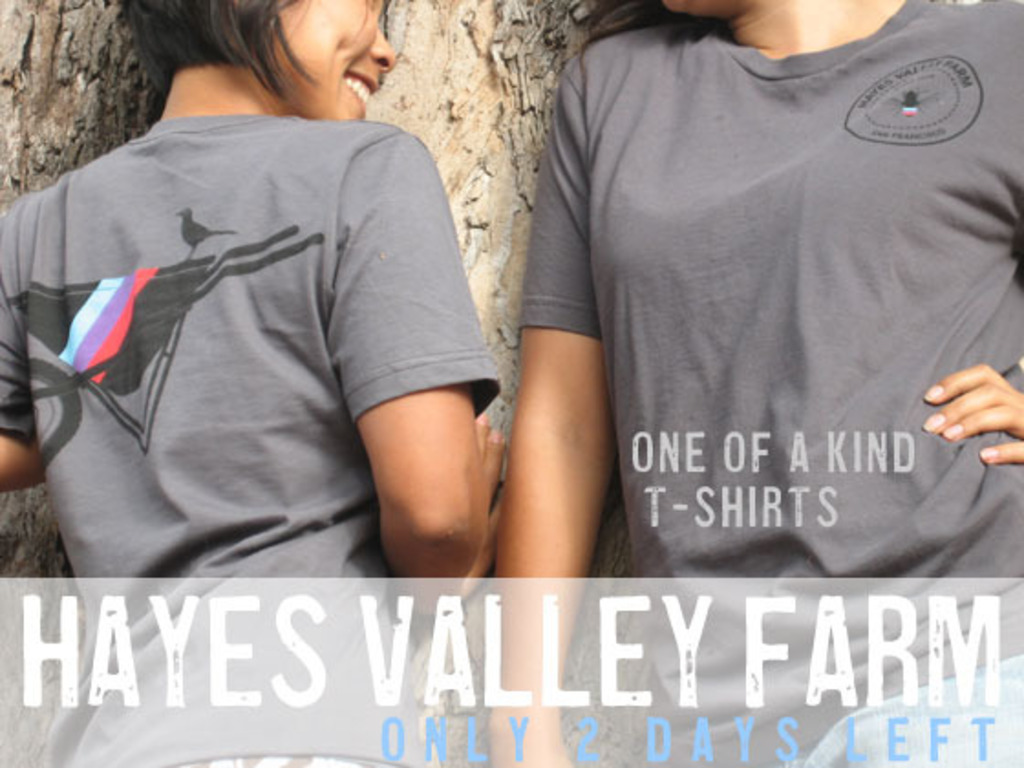 Hayes Valley Farm: A Freeway Food Forest & Education Center's video poster