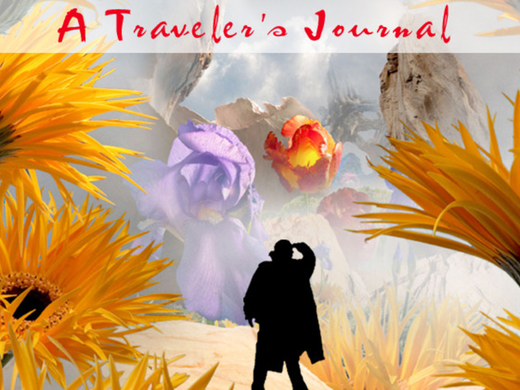 A Traveler's Journal: Enchanted Landscapes in Natural Forms's video poster