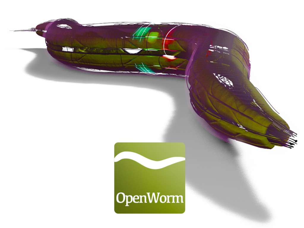OpenWorm: A Digital Organism In Your Browser's video poster
