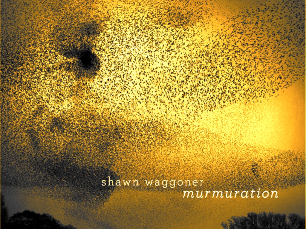 Shawn Waggoner's "Murmuration" CD's video poster