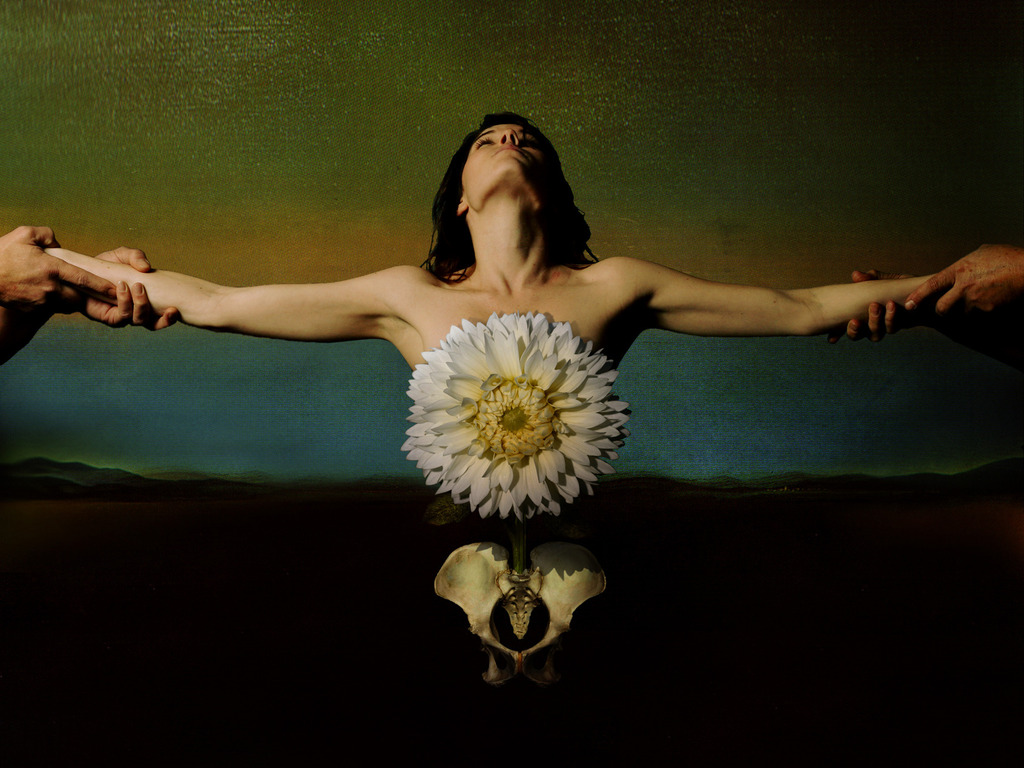 THE BEAUTIFUL DEAD's video poster