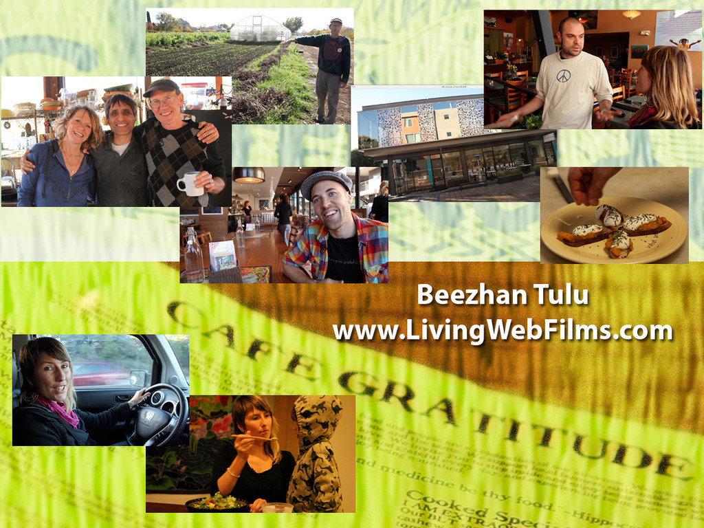 Living Web Films - Cafe Gratitude (Canceled)'s video poster