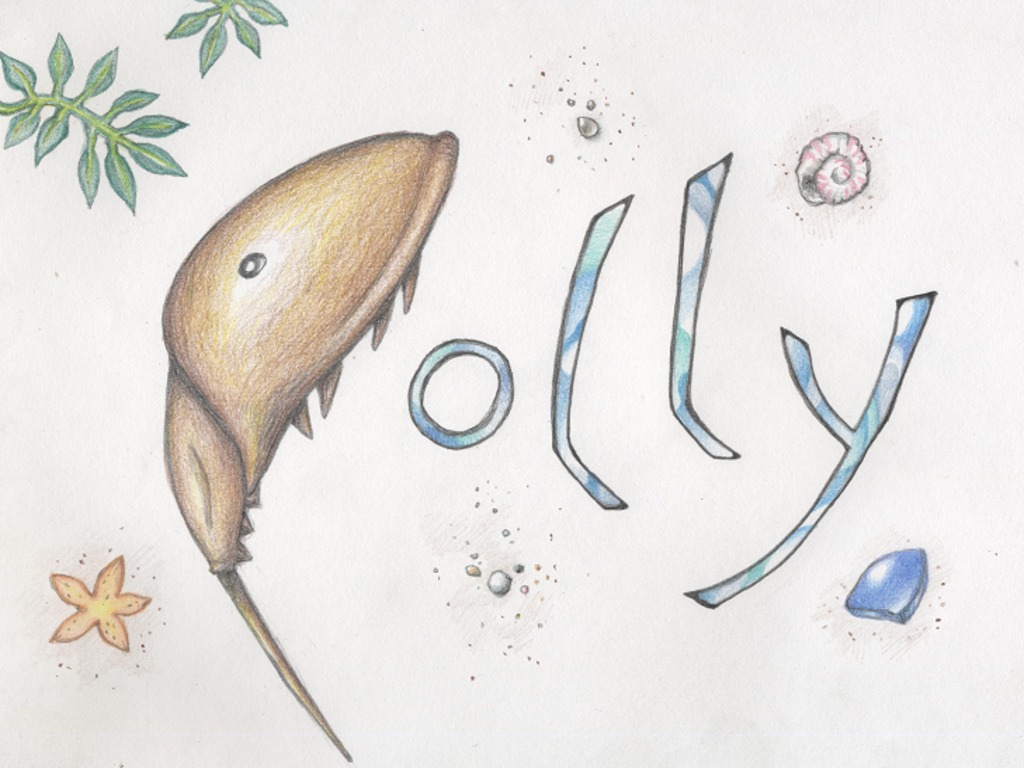 Polly's video poster