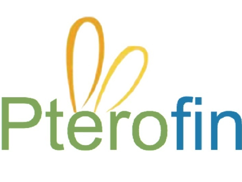 Pterofin - Wind/water power using natural energy currents.'s video poster