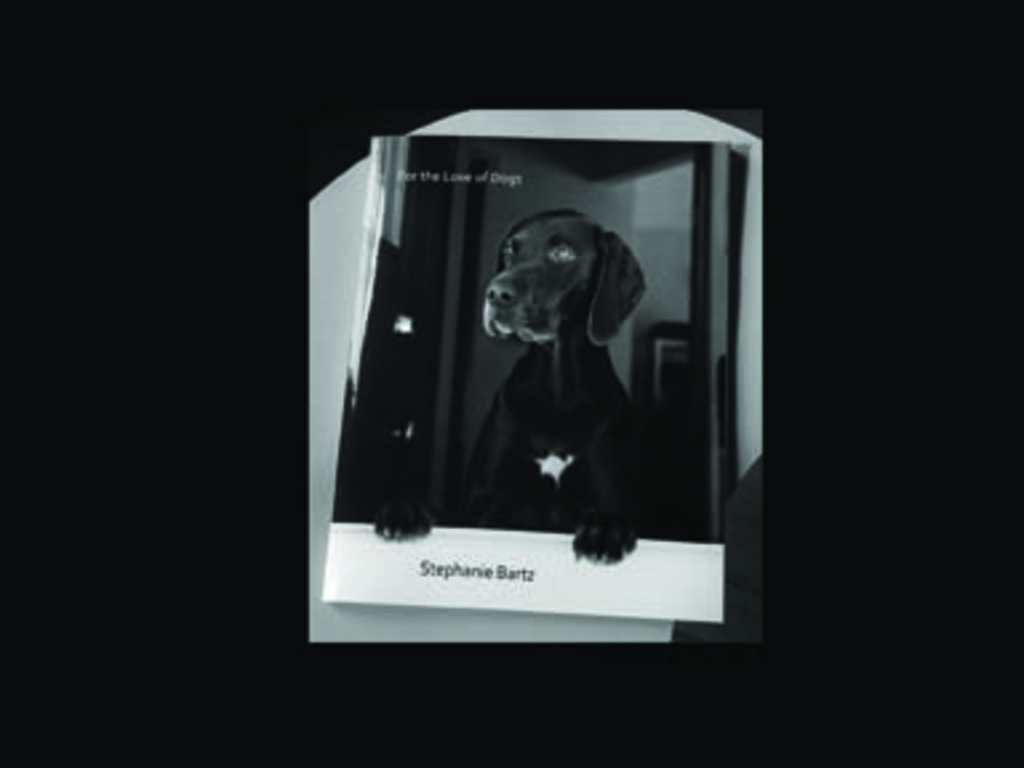 For the Love of Dogs's video poster