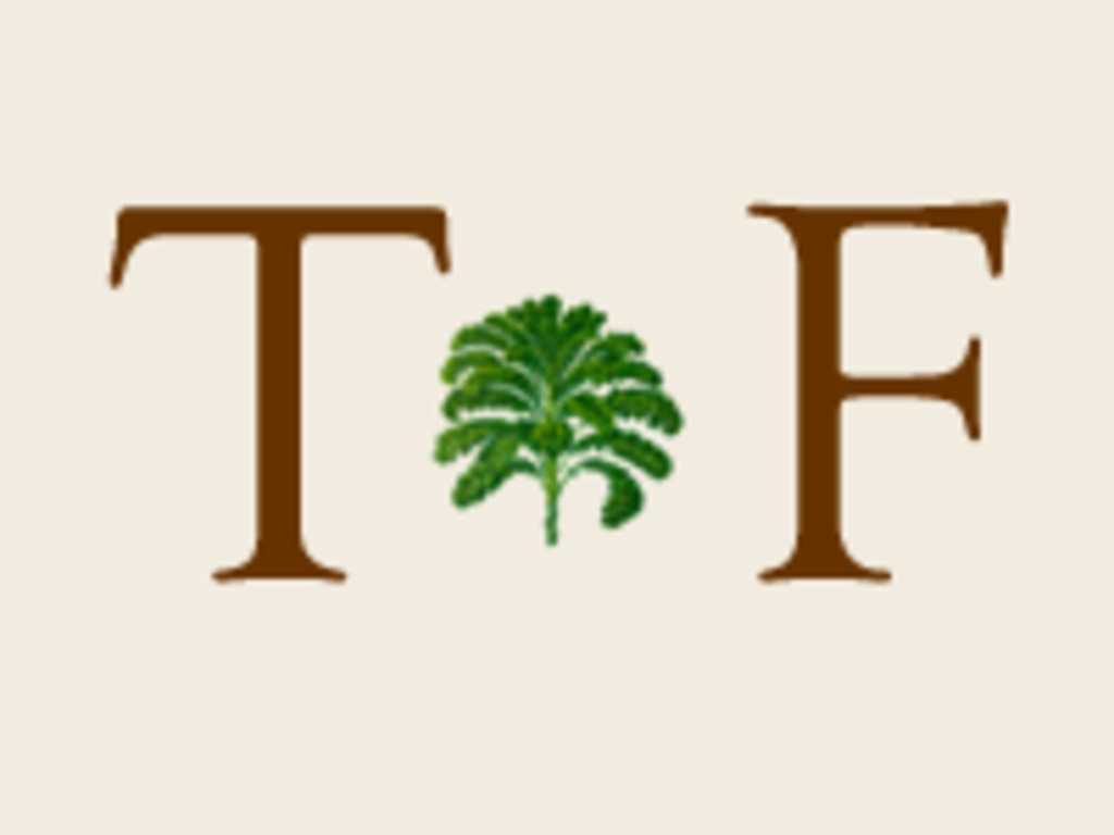 Terra Firma's Fall Workshop's video poster