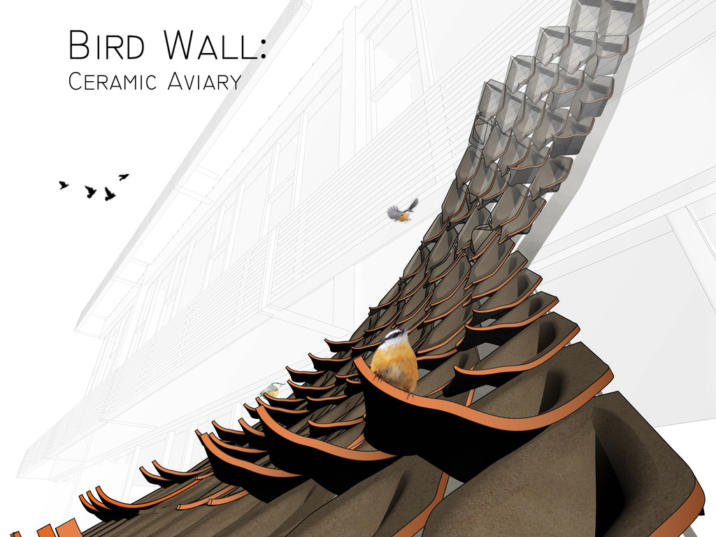 Bird Wall's video poster