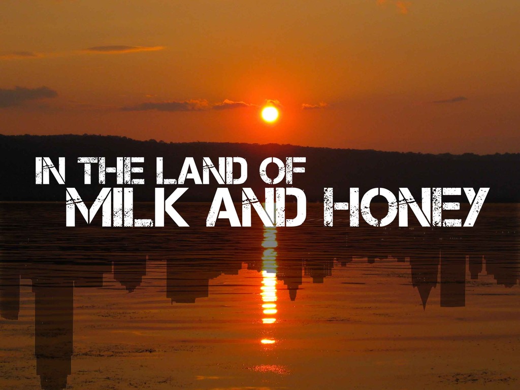 In the Land of Milk and Honey's video poster