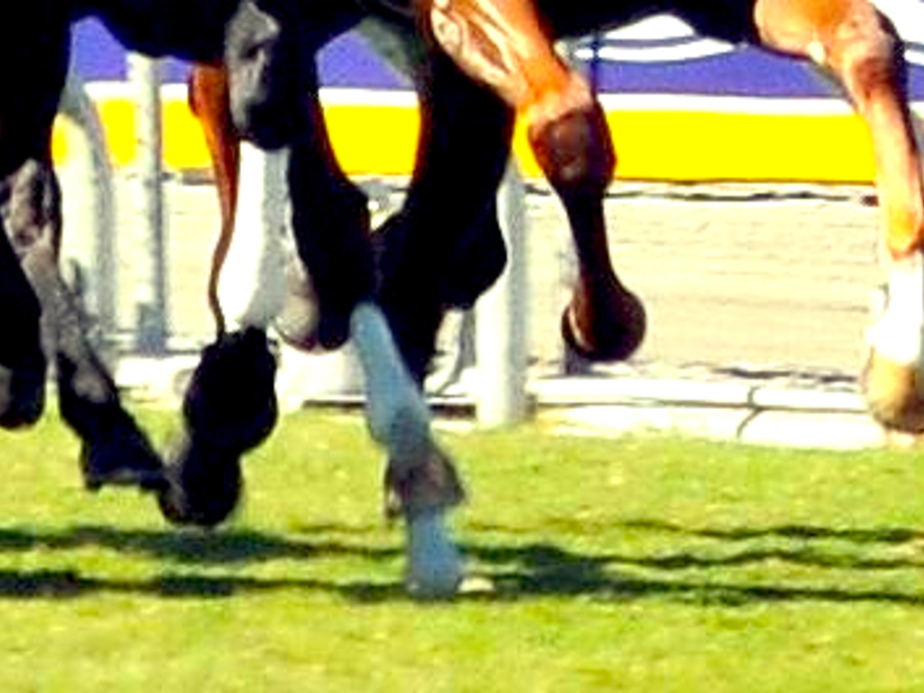 Shoe's video poster