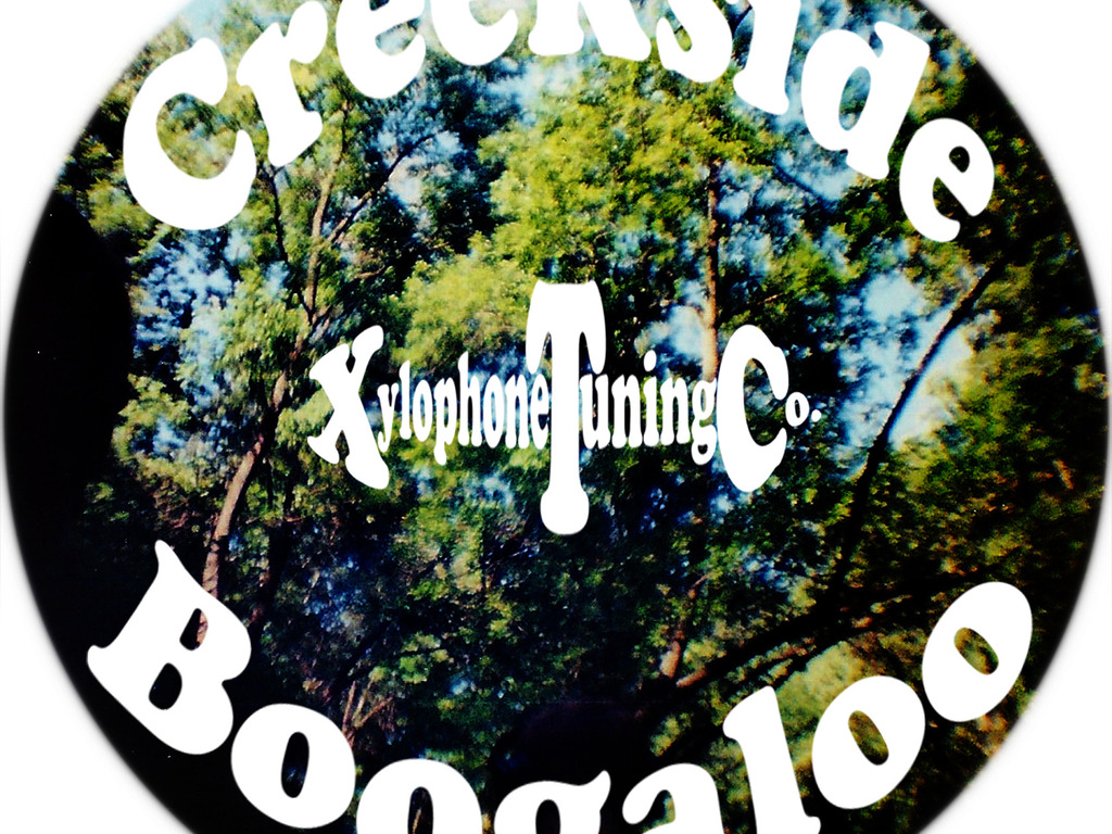 Creekside Boogaloo's video poster