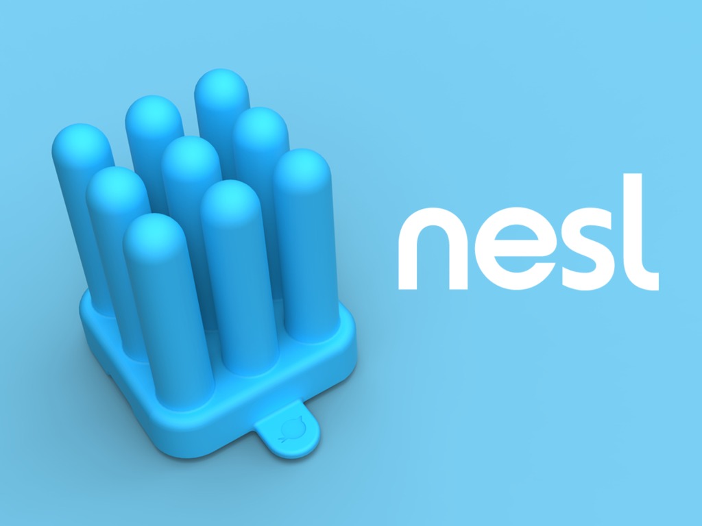 nesl's video poster