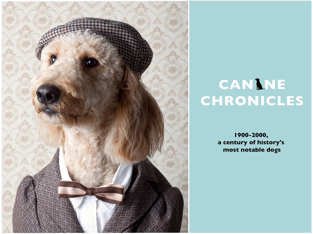 Canine Chronicles's video poster