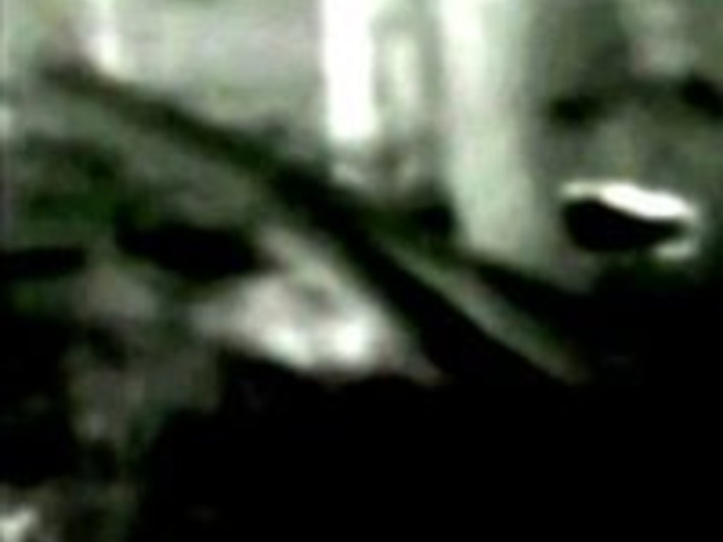 New England Sasquatch Thermal Research's video poster