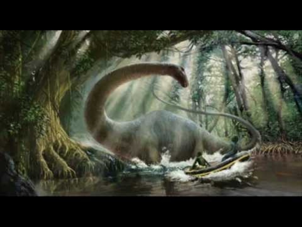 Congo Expedition Documentary Film's video poster