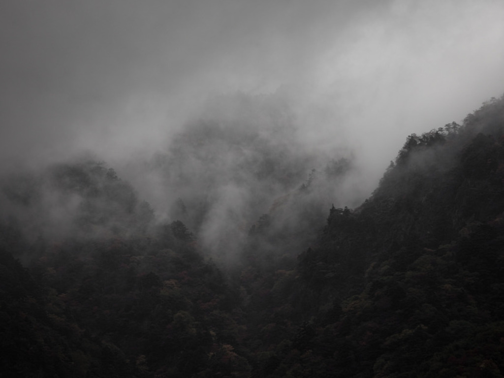 The Sea of Trees's video poster