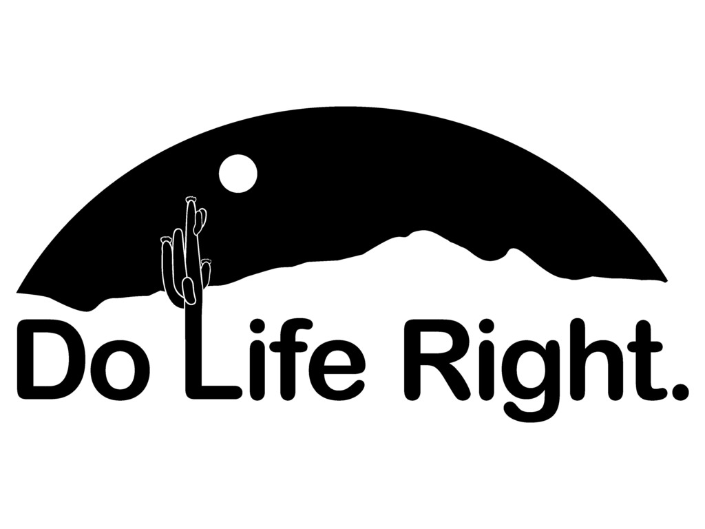 Do Life Right, Inc.: Publishing fiction about Realistic Homeschoolers of today! 's video poster