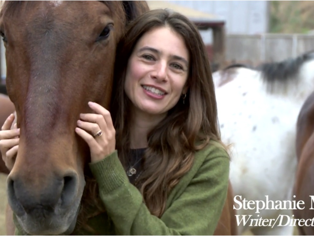 Wild Horses's video poster