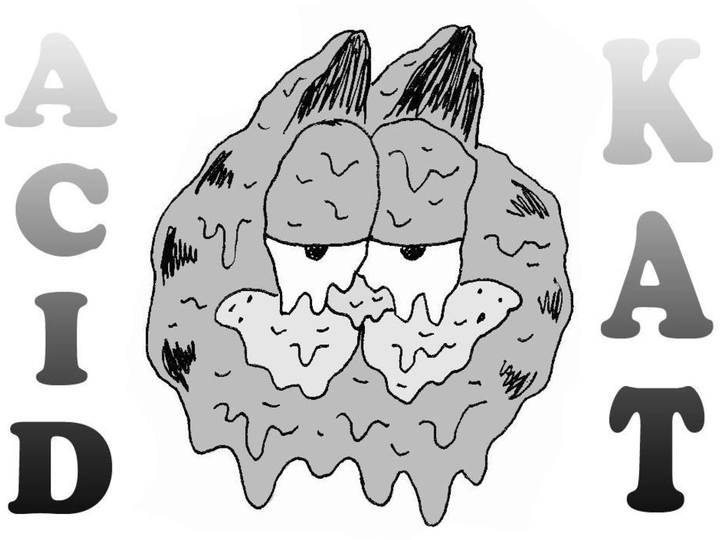 Acid Kat Presents: Summer of Fuzz Cassette's video poster