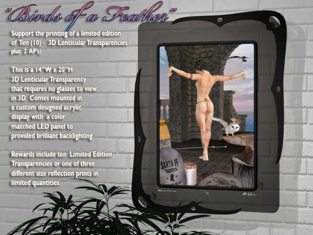"Birds of a Feather" 3D Lenticular Transparencies & Prints's video poster
