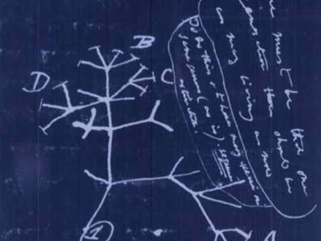 Illuminating the tree of life!'s video poster