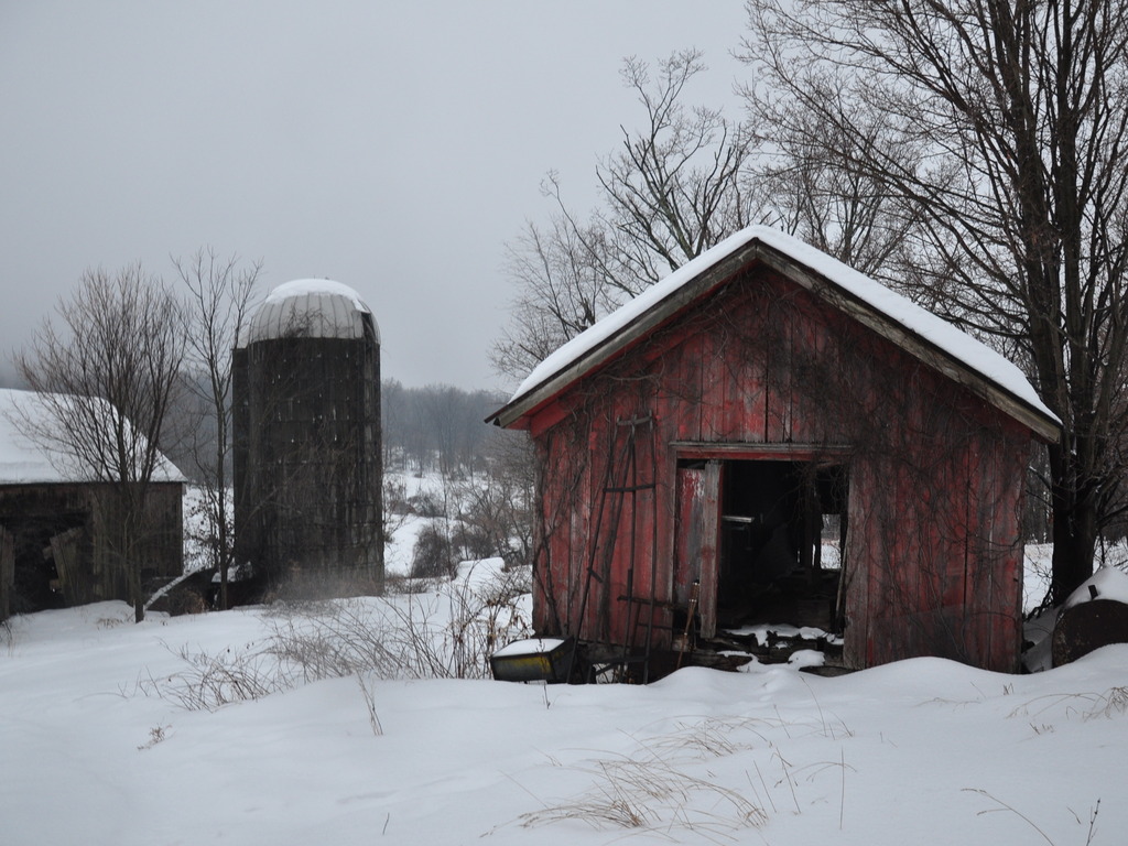 First Winter's video poster