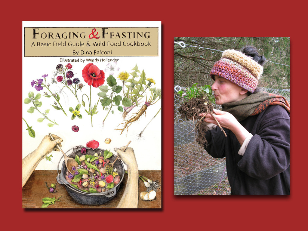 Foraging & Feasting: A Field Guide and Wild Food Cookbook's video poster