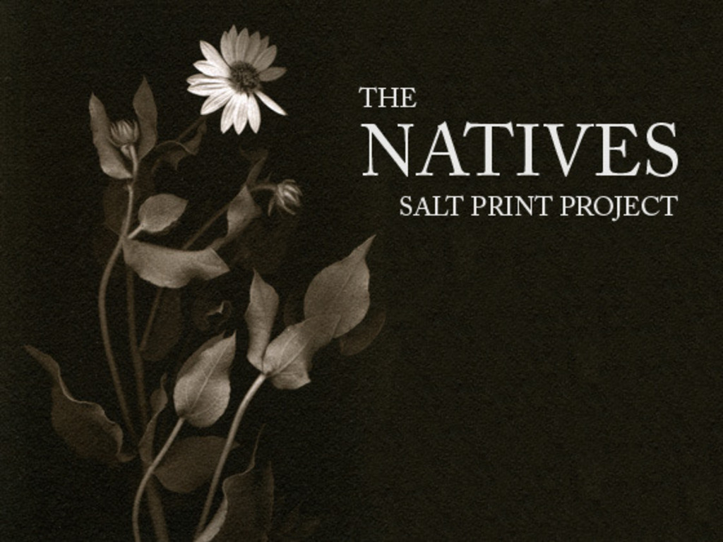 THE NATIVES - Salt Print Project's video poster