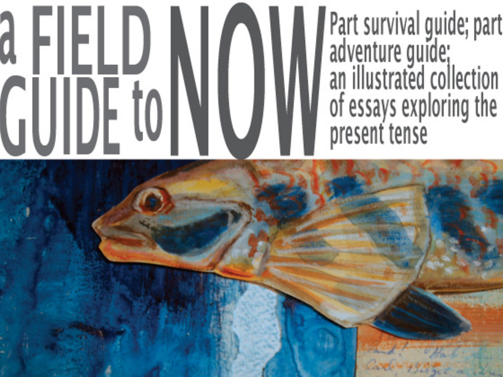 A Field Guide To Now: An Illustrated Collection of Essays and Prose 's video poster