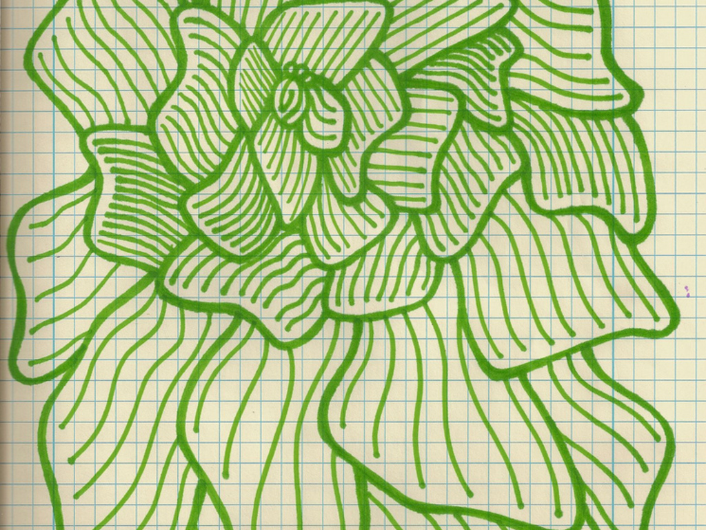 timelapse farm: a source code for food's video poster