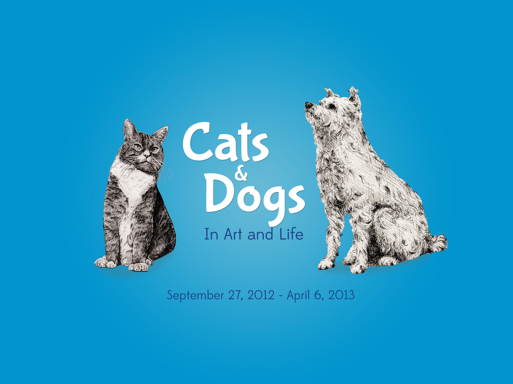 Calling all Cats & Dogs's video poster