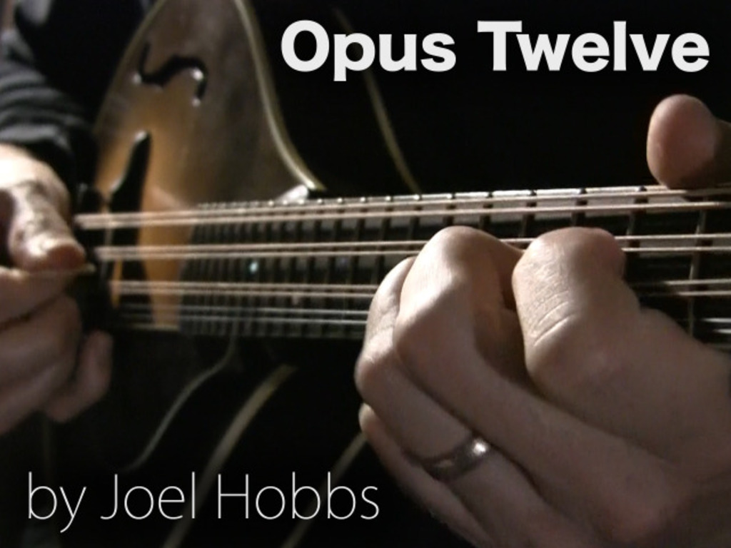 Opus Twelve's video poster