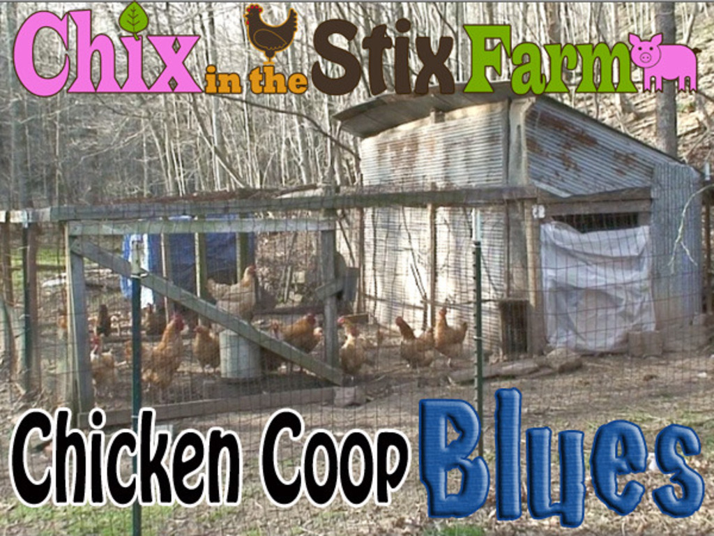 Cure the Chicken Coop Blues at Chix in the Stix Farm's video poster