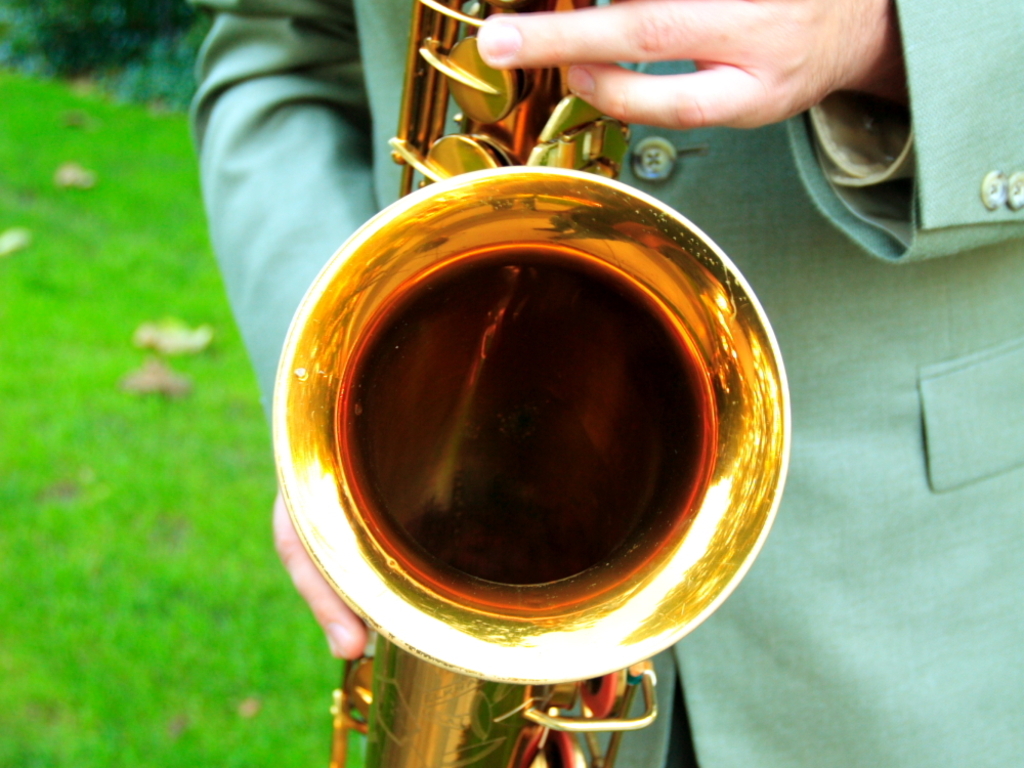 New album: Steve Treseler Group featuring Ingrid Jensen's video poster