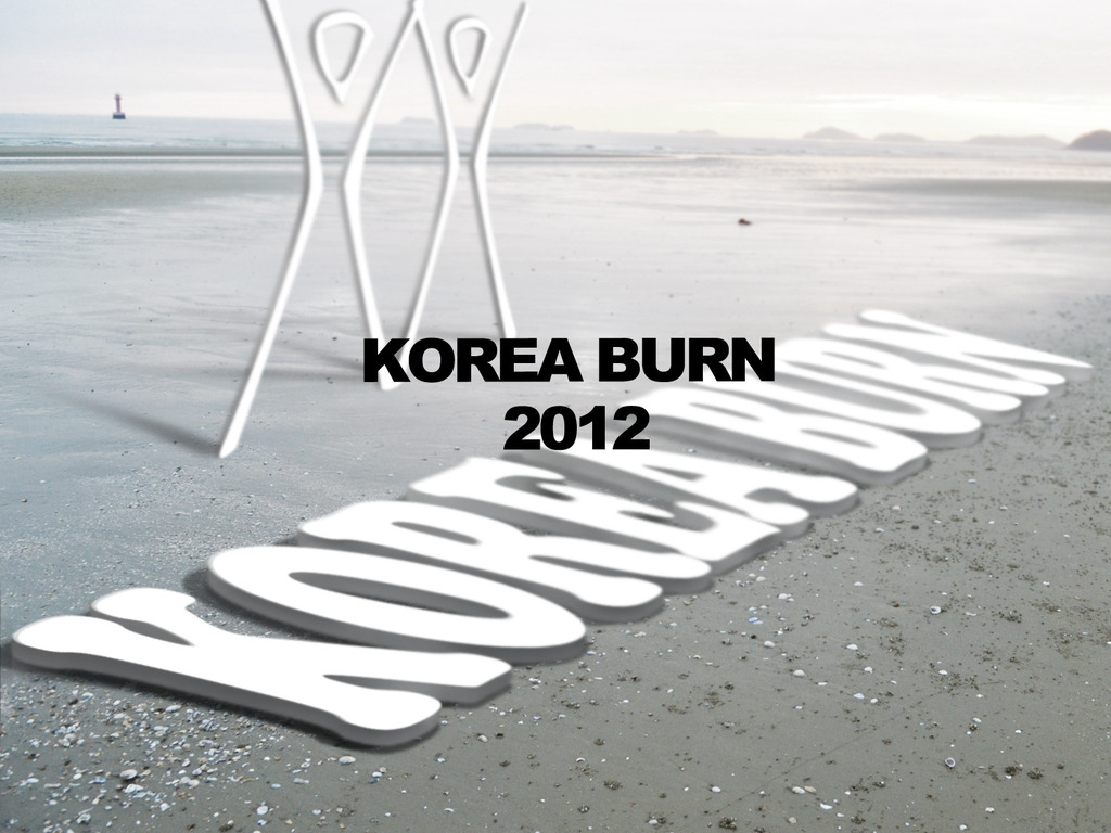 Let's Do This Here: Korea Burn 2012's video poster