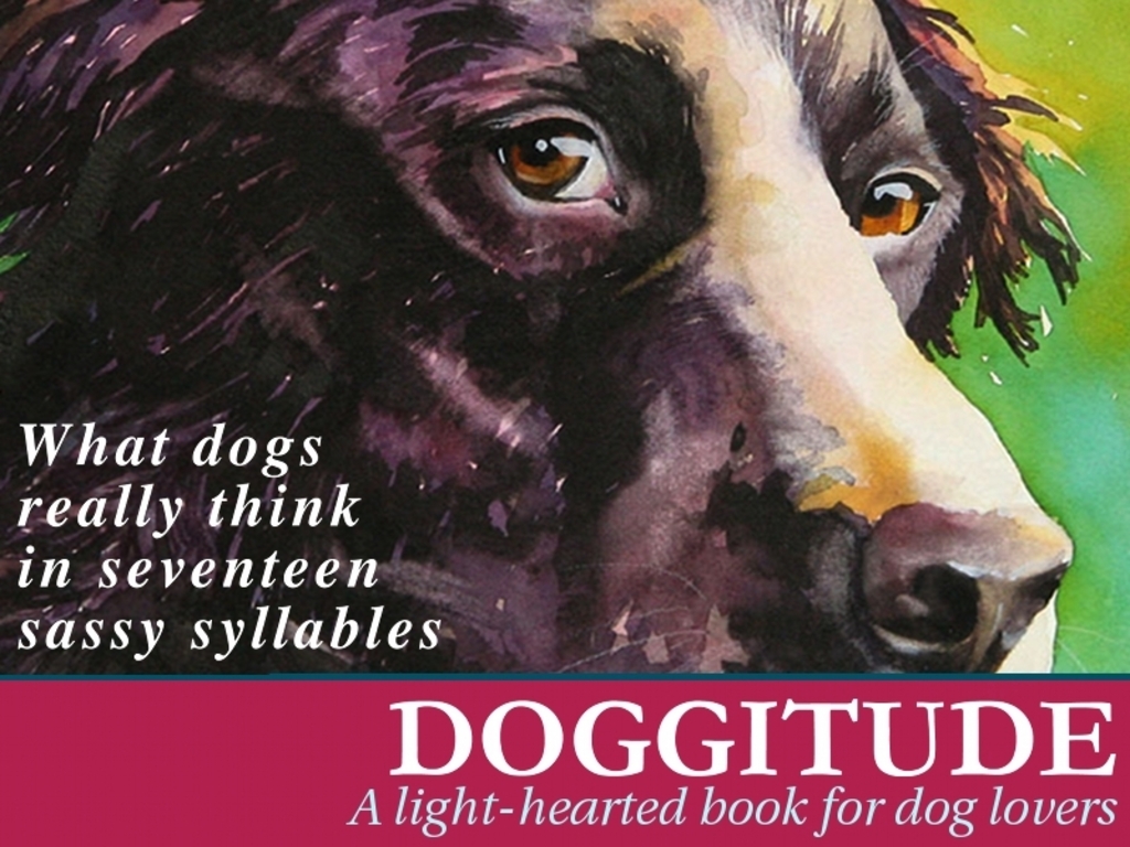 Doggitude: A Light-Hearted Book for Dog Lovers's video poster