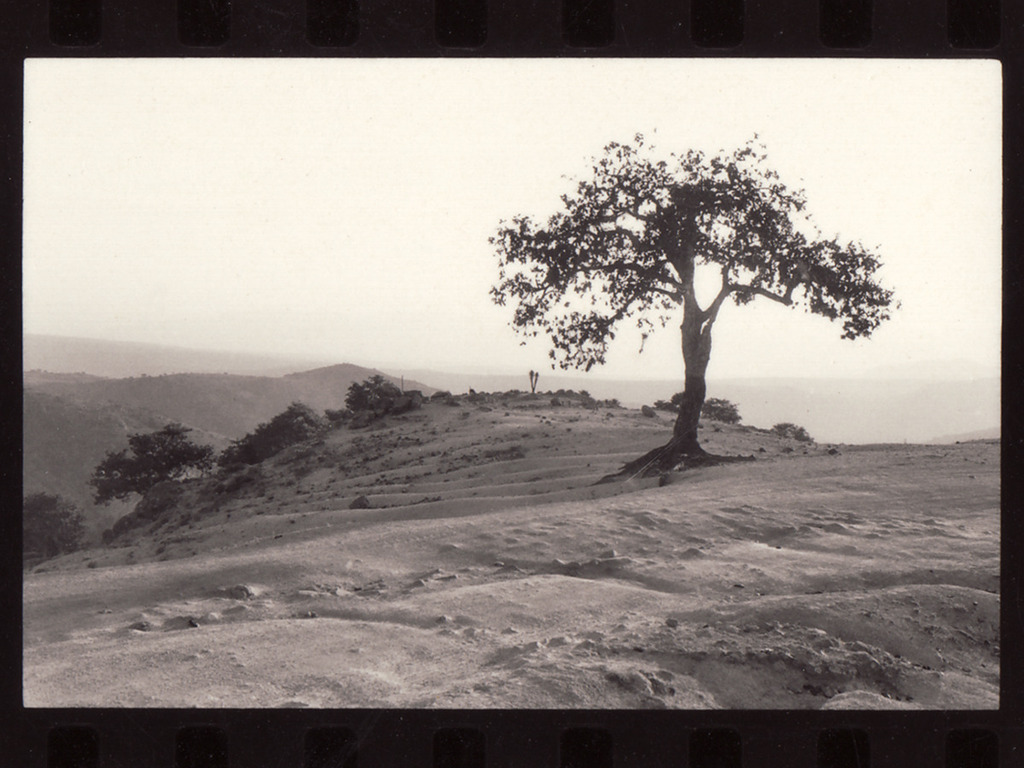 Eden - a film by Elise DuRant's video poster