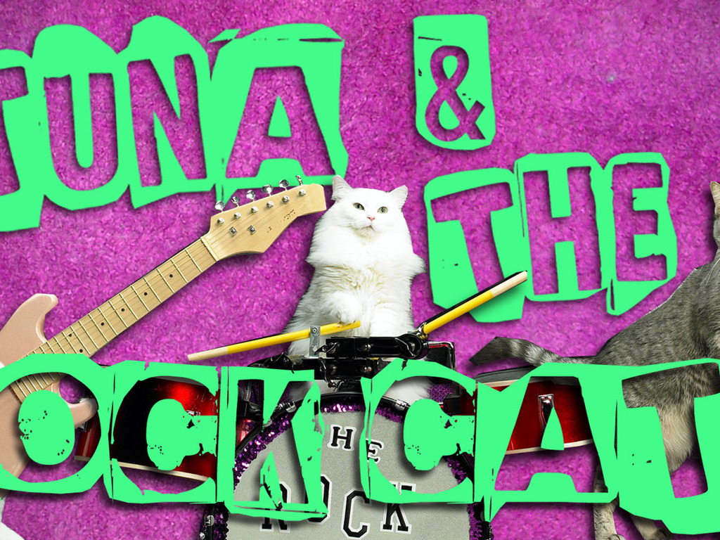 Amazing Acro-Cats and Rock-Cats Purr-fect Tour Bus's video poster