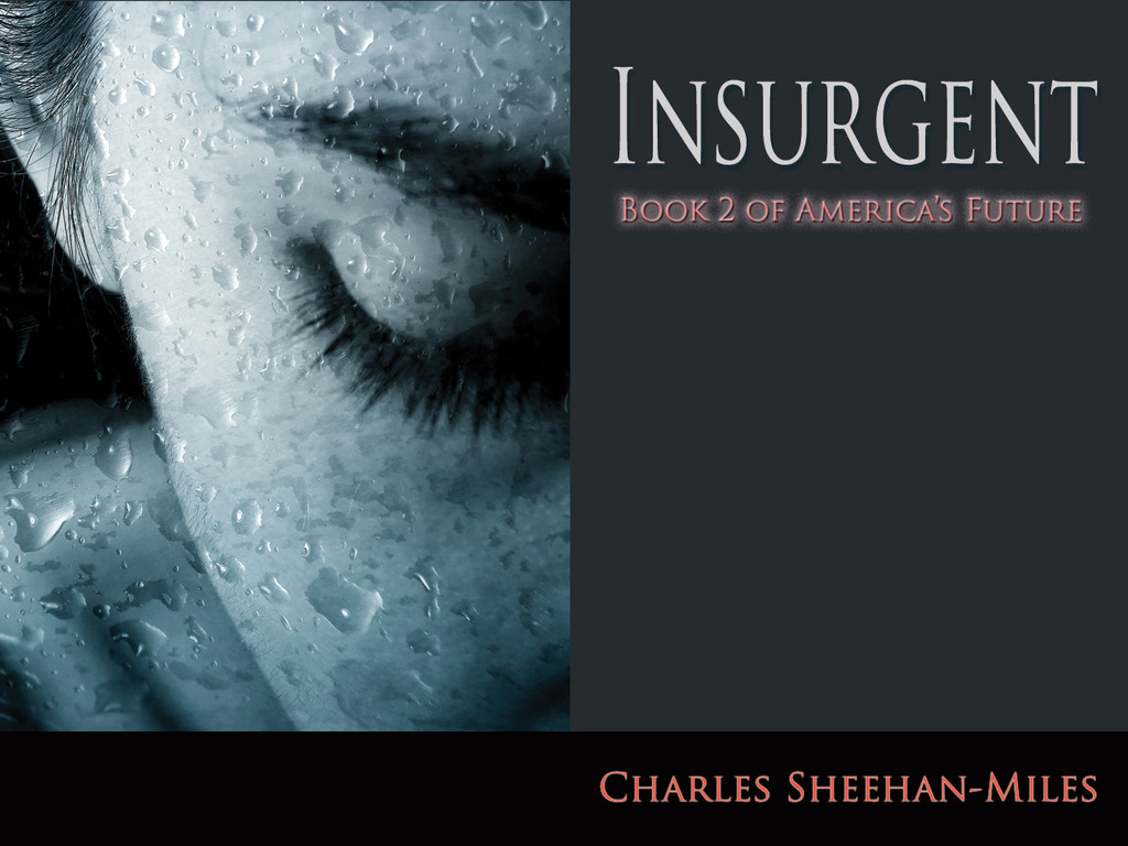 Insurgent: Book 2 of America's Future's video poster