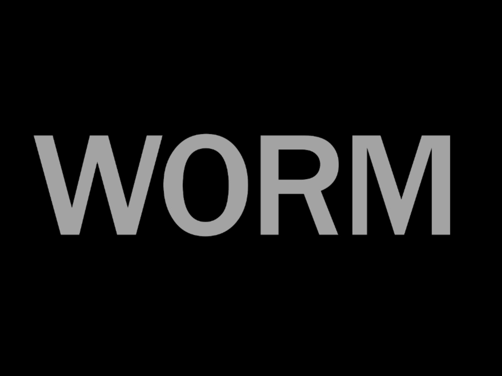 "Worm" Finishing Funds's video poster