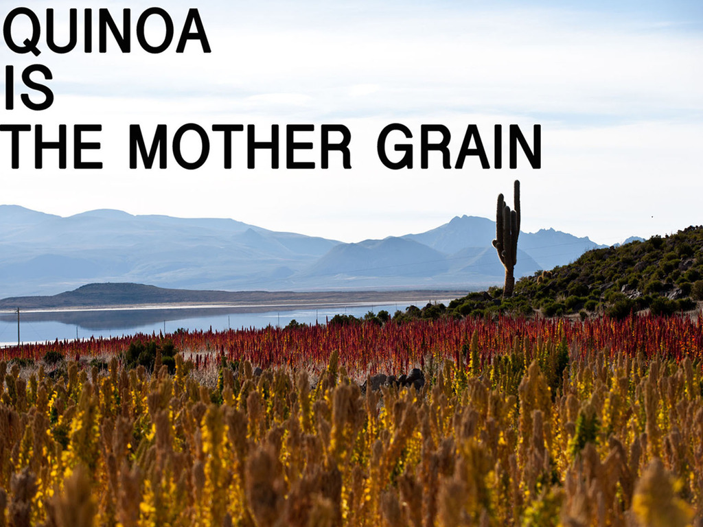The Mother Grain's video poster