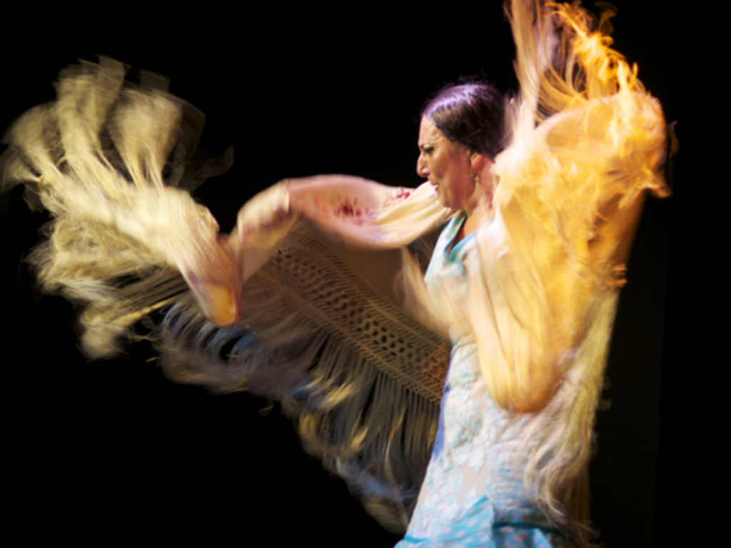 Chicago Flamenco Festival 2013's video poster