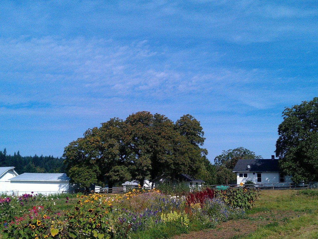The Orchard Kitchen's video poster
