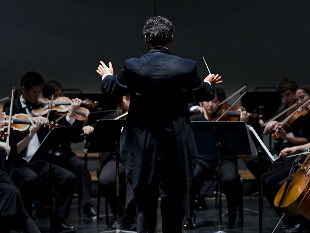 The Palo Alto Chamber Orchestra - Playing Well With Others's video poster