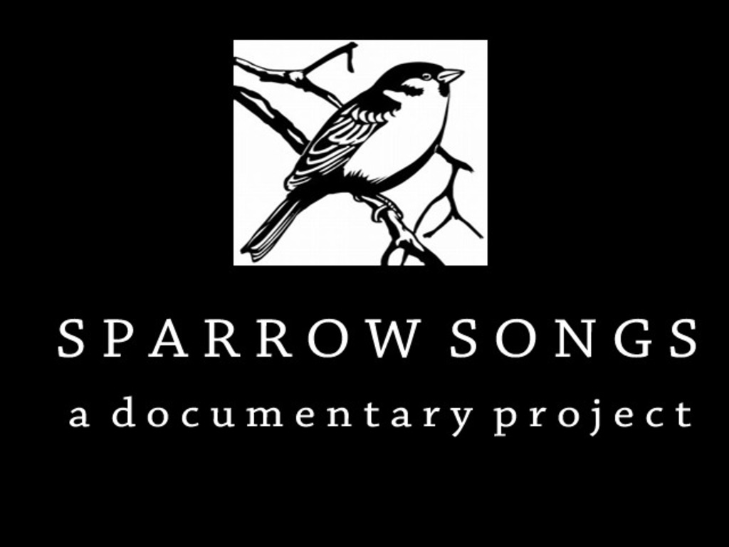 Sparrow Songs - a documentary project's video poster