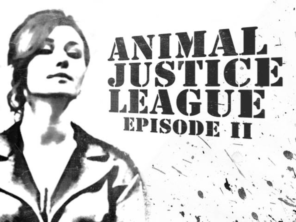 Animal Justice League, Episode II's video poster