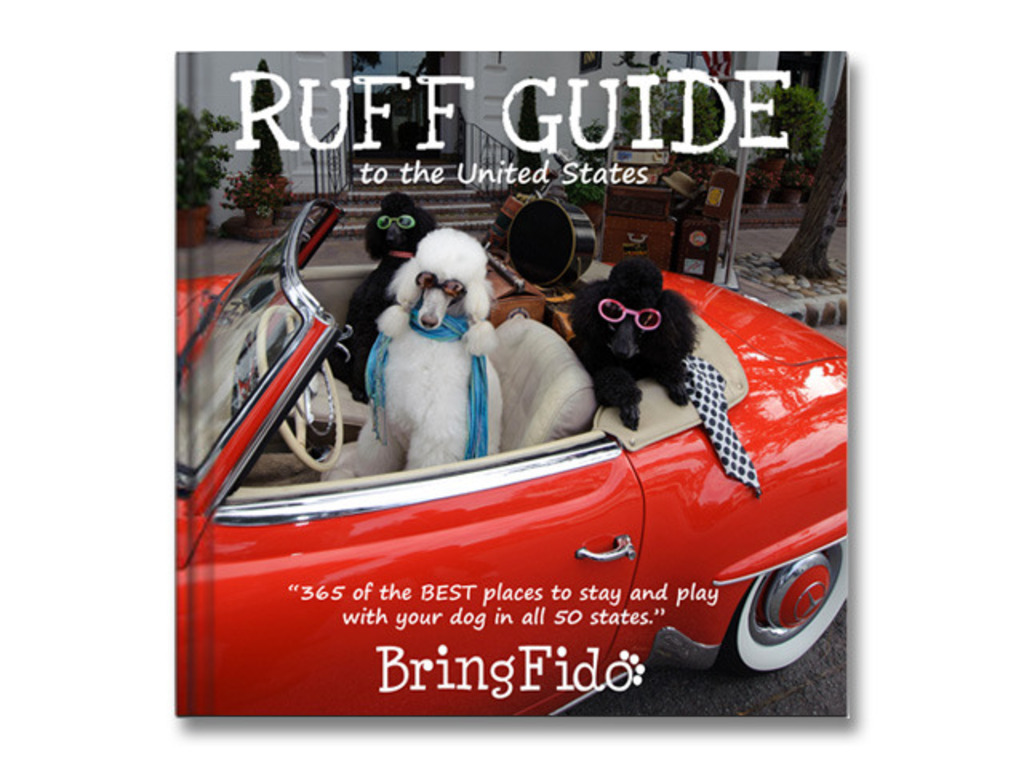 Ruff Guide to the United States's video poster