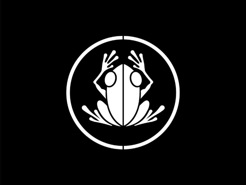 Frogman's video poster
