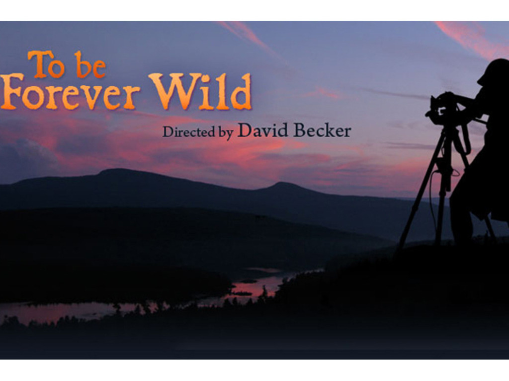 To Be Forever Wild - A Documentary Film in Progress's video poster
